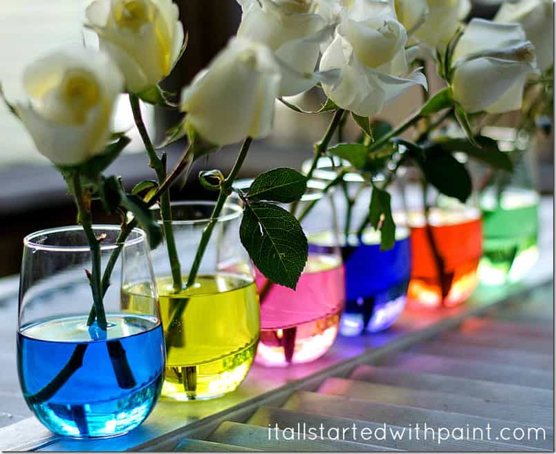 These gorgeous and colorful summer centerpieces will have you begging for more! Super simple to make, AND perfect for entertaining and events. MUST SEE!