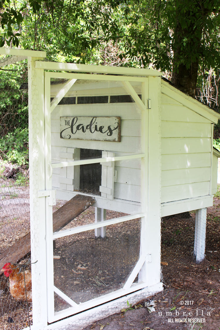 Step up your chicken coop game with a custom DIY sign! Here are some tutorials and inspiration to get you started. #diychickencoopsign #chickencoopsign #backyardchickens #diyfarm