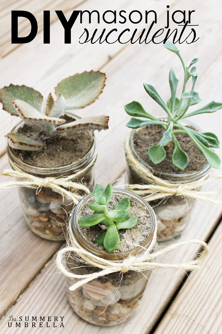 DIY mason jar succulents are incredibly easy to make. All you need is a few simple supplies, and you too can have a beautiful arrangement in minutes!