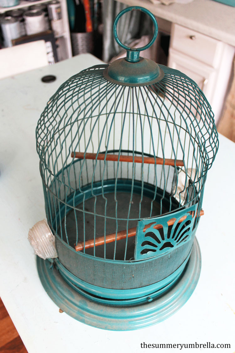 UpCycle Cage