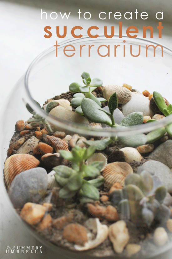 Learn how to create a succulent terrarium in just a few simple steps. You'll definitely be pleasantly surprised how easy it really is!