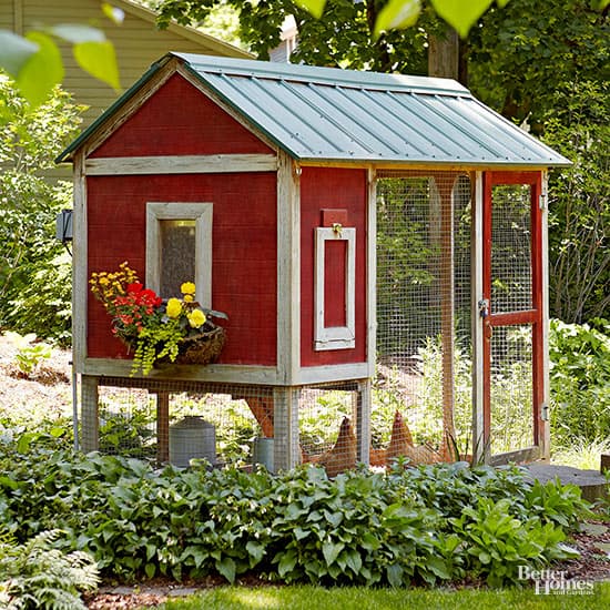 Are you looking for beautiful inspiration for your own chicken coop? Check out my top 10 Pretty and Functional Chicken Coops right now!