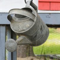 how to build a chicken coop