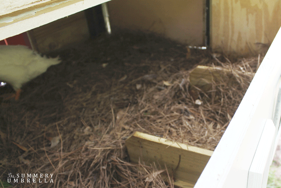 making a chicken coop