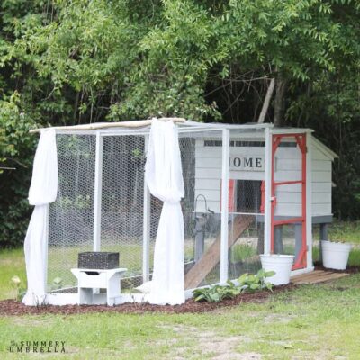 How to Create a Beautiful Chicken Coop