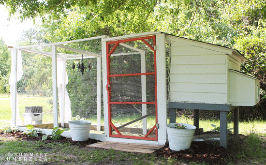 How To Create A Pretty And Functional Chicken Coop