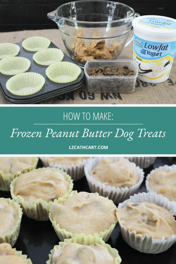 Dogs need a delightfully, pleasant treat during the summer time just as much as we do. Try out these yummy peanut butter dog treats! #3IngredientPeanutButterDogTreats #dogtreats #peanutbutterdogtreats #frozendogtreats #diydogtreats #homemadedogtreats #thesummeryumbrella #lzcathcart