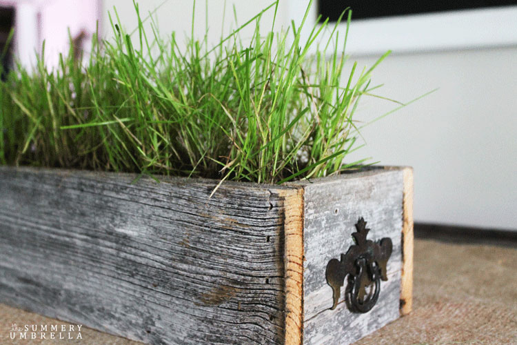 Create a simple summery centerpiece with grass!