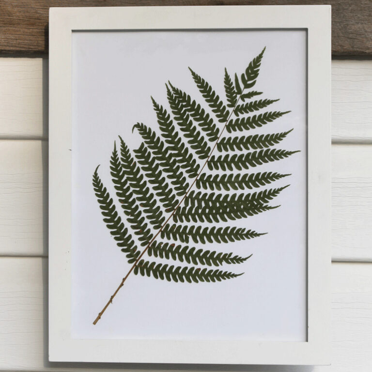 DIY Fern Art for Any Room of the House