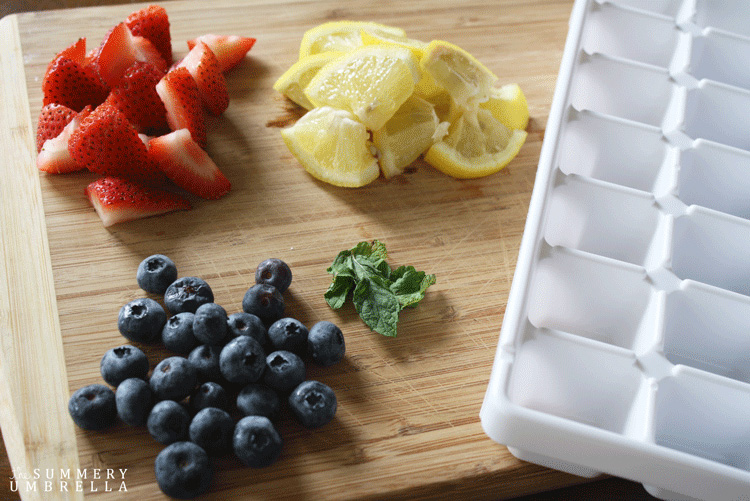 fruit ice cubes for cocktails