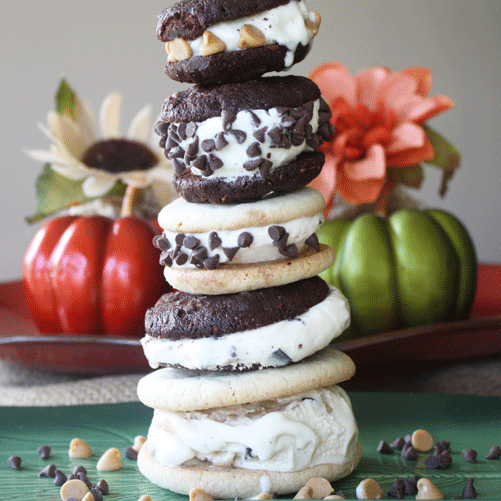 Sweet and Tasty Homemade Cookie Ice Cream Sandwiches