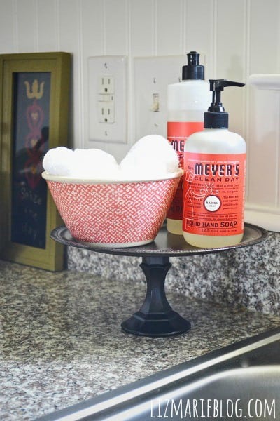 Pedestal Soap Tray Design Ideas