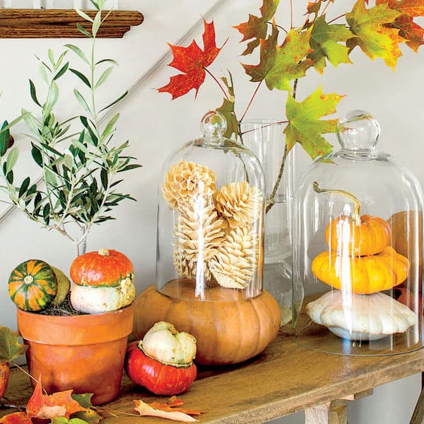 Red, Orange, and Yellow: How to Incorporate Fall Decor for a Cozy Home Aesthetic