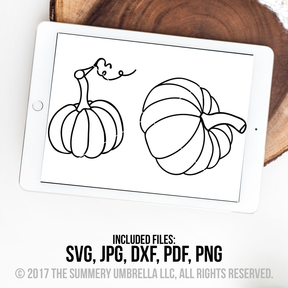 pumpkin fall svg