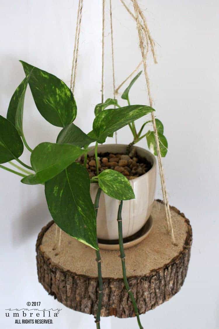 Add some green to your home with these DIY hanging planter ideas. Get inspired and start your next DIY project! #diyhangingplanter #hangingplanter #diyplants #diyhome