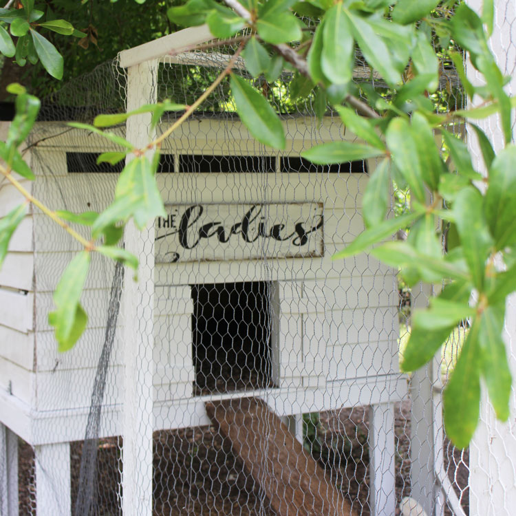 20 Chic Chicken Coop Décor Ideas