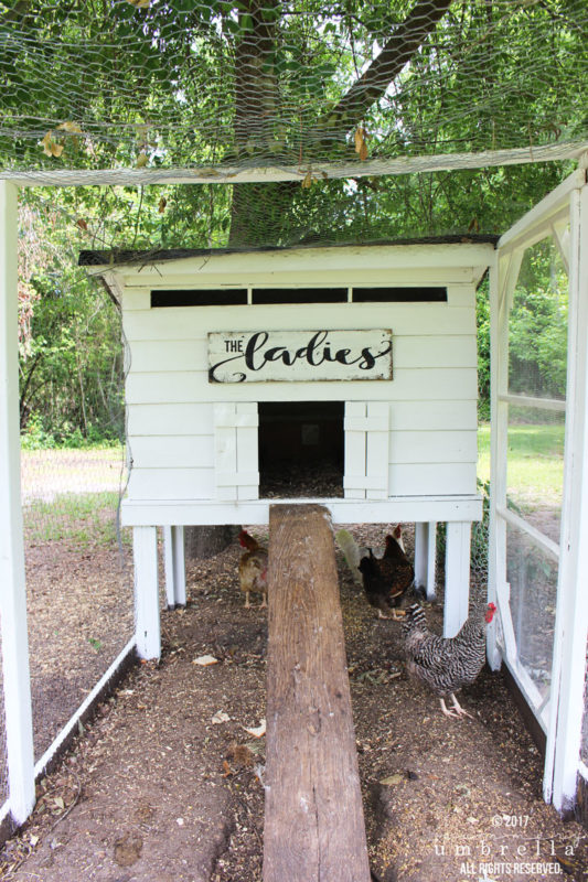 DIY Chicken Coop Sign A Fun and Creative Way to Personalize Your Coop