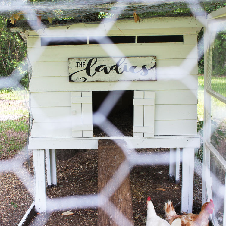 rustic DIY chicken coop sign 