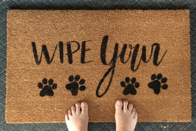 Create this easy Wipe Your Paws DIY Personalized Doormat with your Cricut to add some personality to your home. Come learn how to paint a coir doormat using a stencil and outdoor paint! #diydoormat #frontporch #cricut #cutfile #svgcutfiles #SVG #thesummeryumbrella