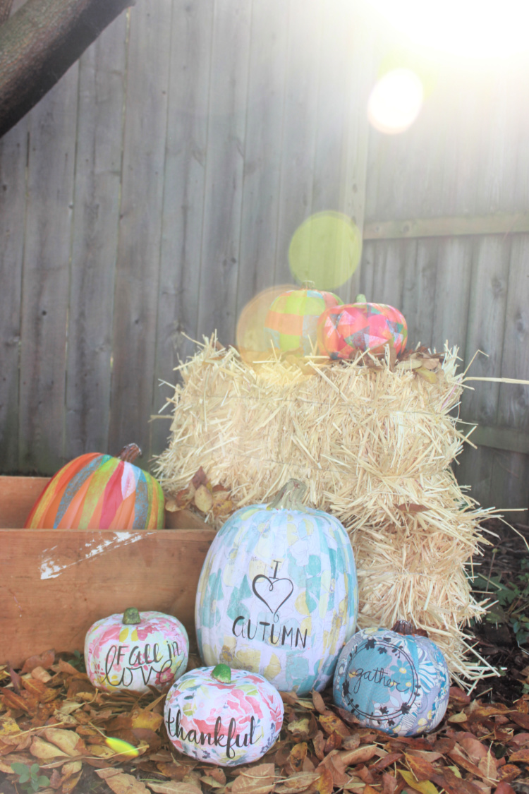 Need ideas for a no carve pumpkin?
Learn how to create beautiful floral Mod Podge pumpkins to celebrate the fall season in this creative tutorial. You're going to love how unique and easy it is for kids and adults! #pumpkins #nocarvepumpkins #fallcrafts #falldecor #pumpkincrafts #scrapbookpaper #thesummeryumbrella