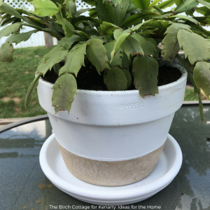 Flower Pot Makeover with two-tone paint by The Birch Cottage