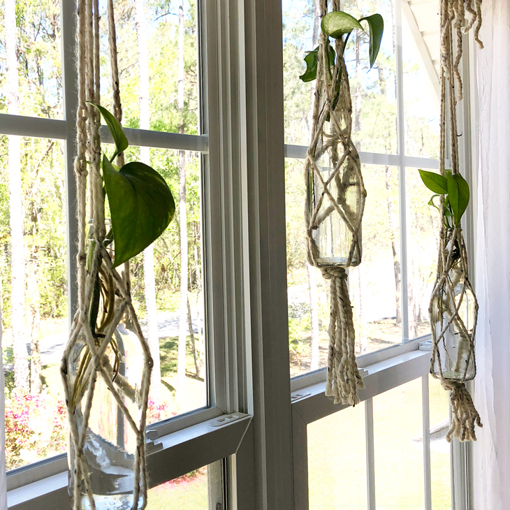 Create a Stunningly Easy DIY Macrame Plant Hanger for Your Home
