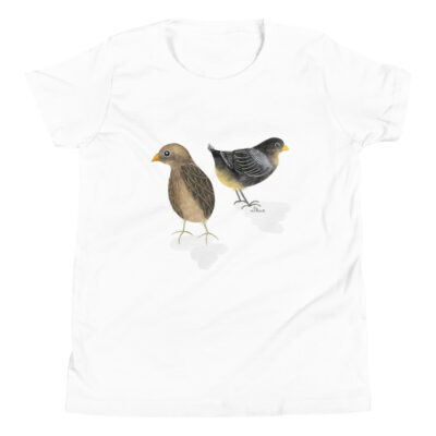 Baby Chicks kids t-shirt