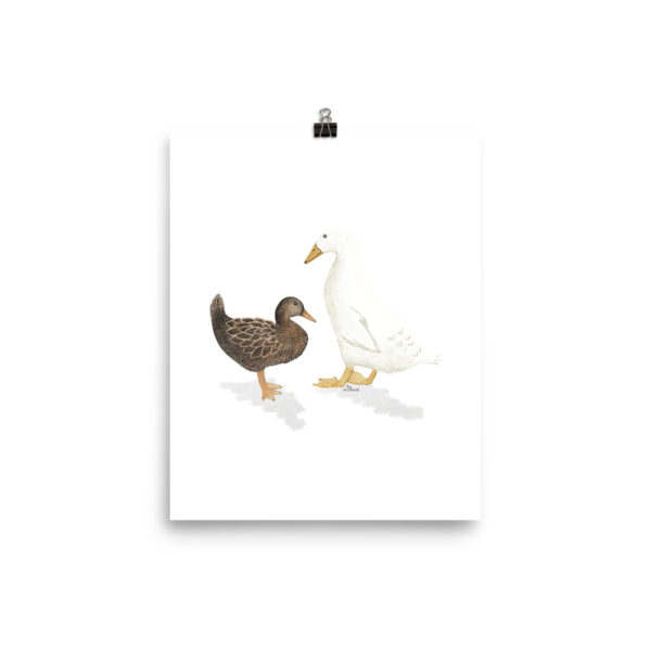 farm ducks art print