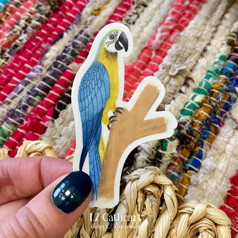 blue and gold parrot sticker