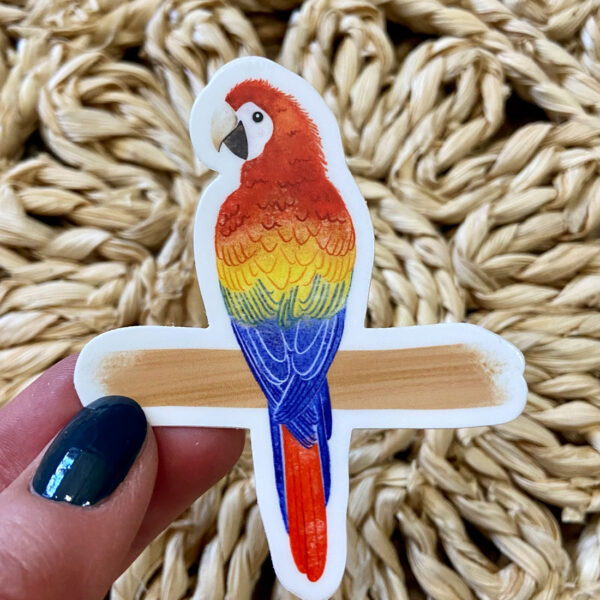 red macaw sticker