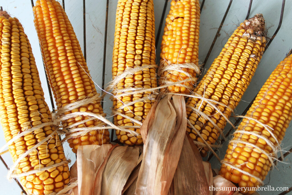 fall corn decor