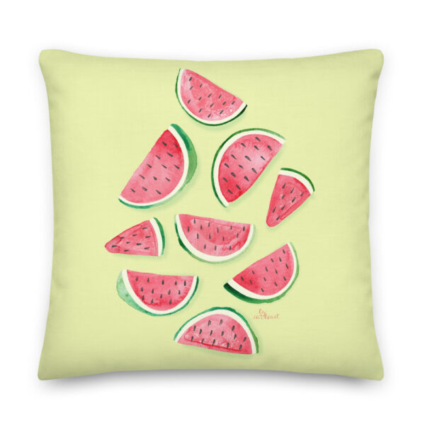 watermelon slice pillow