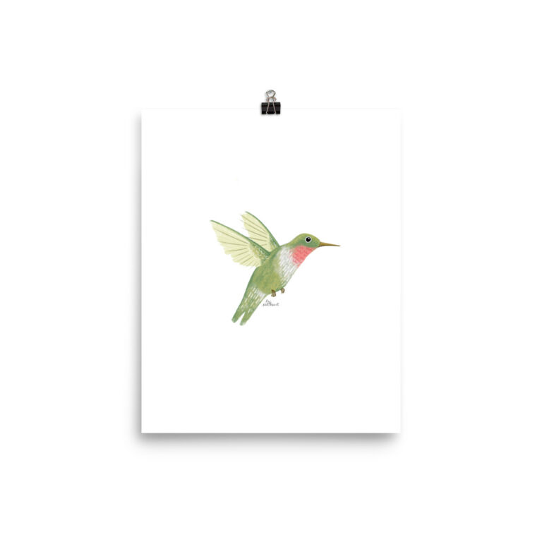 hummingbird poster