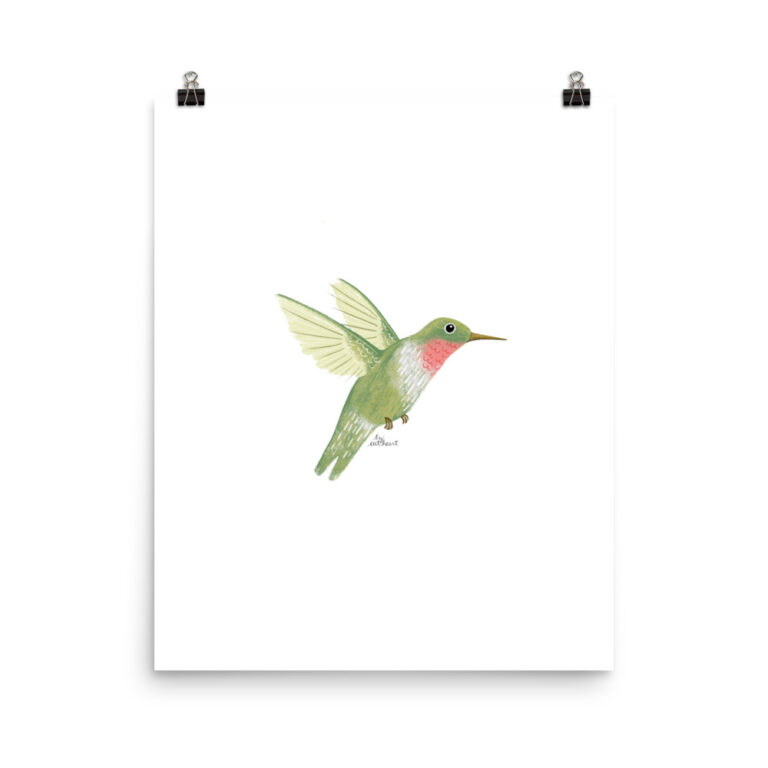 hummingbird art print