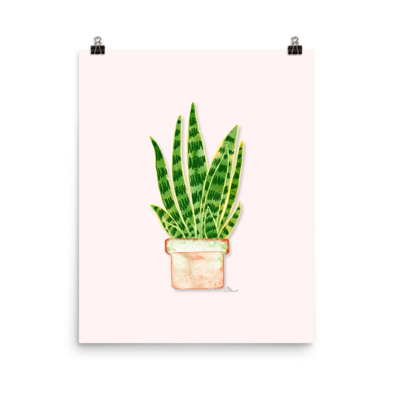 potted snake plant poster