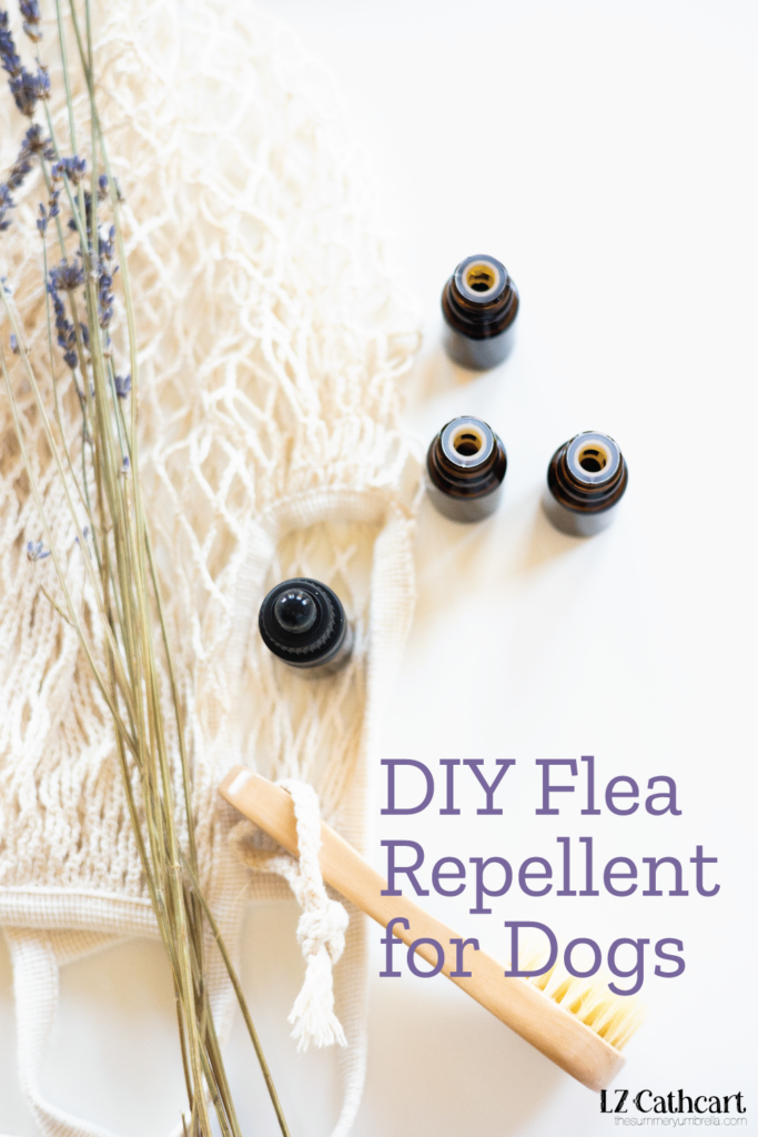 DIY Natural Flea Repellent Safe Way to Protect Your Dog