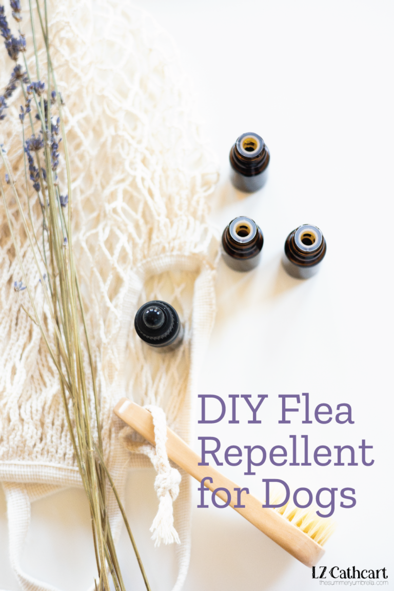 DIY Natural Flea Repellent Safe Way to Protect Your Dog