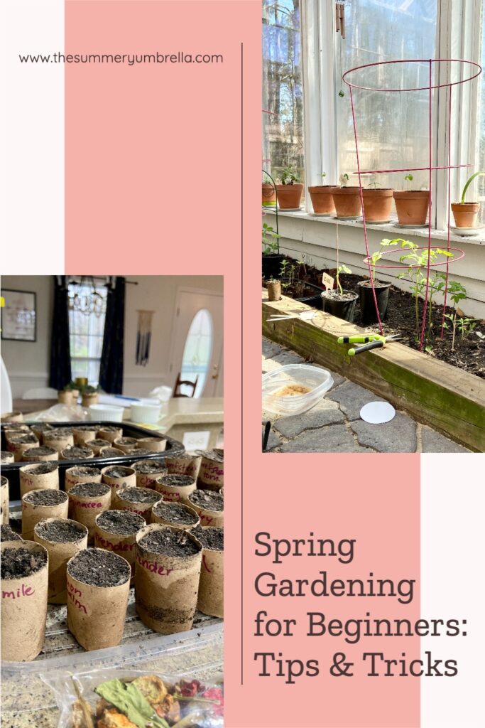 Don't let a lack of experience hold you back from creating a beautiful spring garden. Our guide for beginners covers everything from selecting the right tools to caring for your plants. #SpringGardening #GardeningTips #GardeningForBeginners #BeginnersGardening #GardeningBasics 