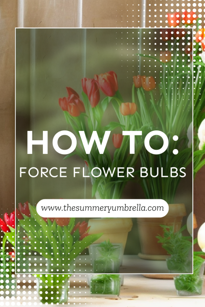 Elevate your indoor garden with vibrant blooms! Learn how to force flower bulbs for year-round beauty. Quick and easy guide. #IndoorGardening #FlowerBulbs #GardeningTips