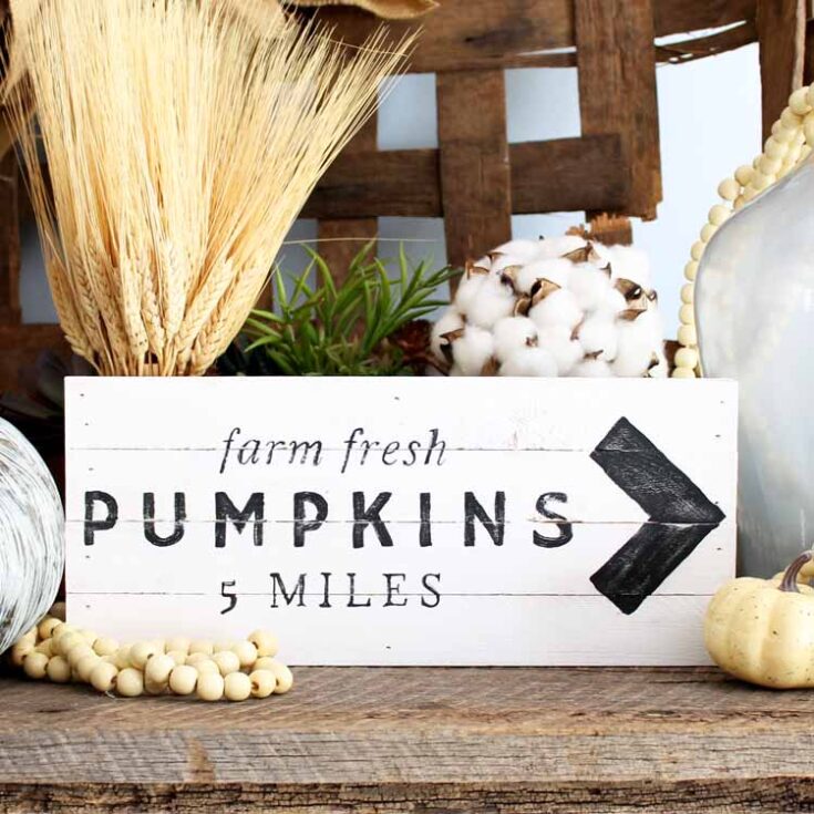 pumpkin patch sign