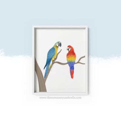 parrots art