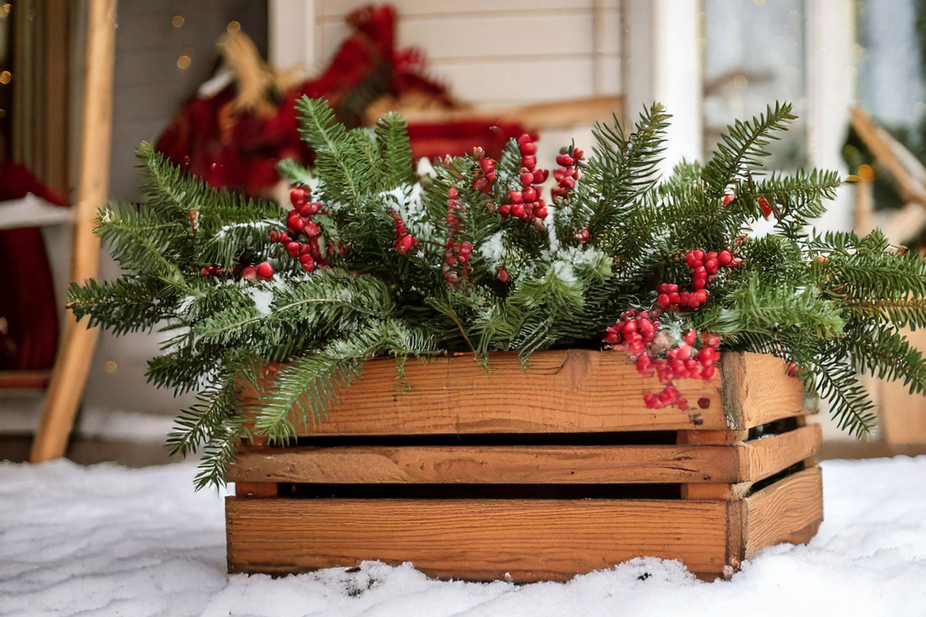 Vibrant Winter Container Gardens: Porch Perfection