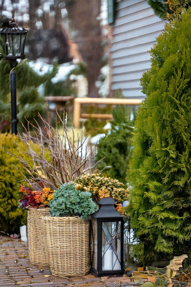 Cozy Winter Patio Ideas for Chilly Nights