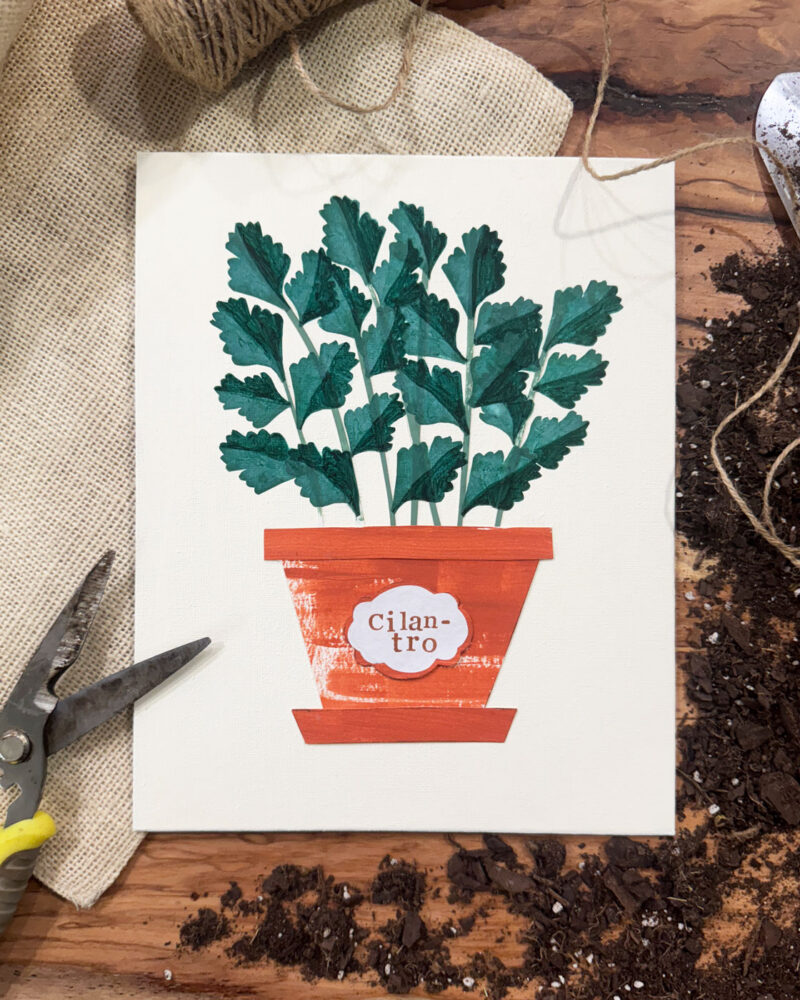 potted cilantro artwork mixed media