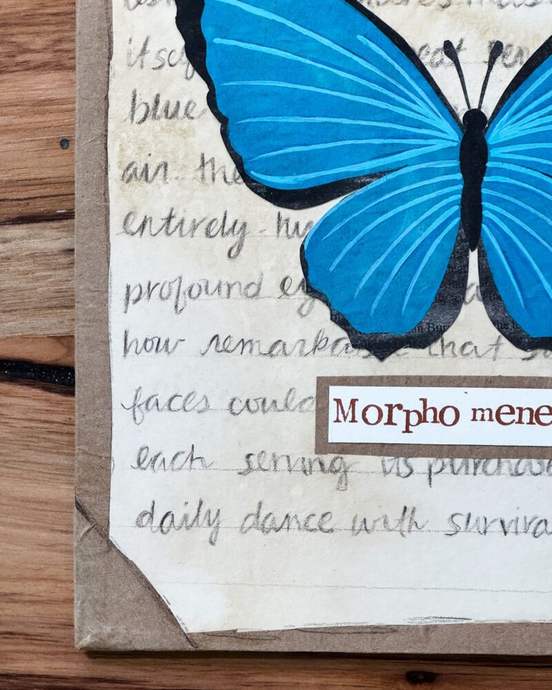 original blue morpho artwork