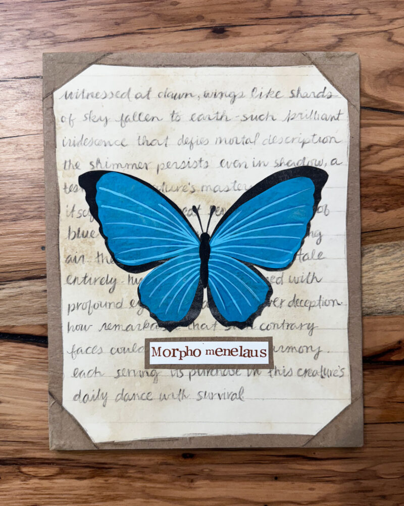 blue morpho mixed media