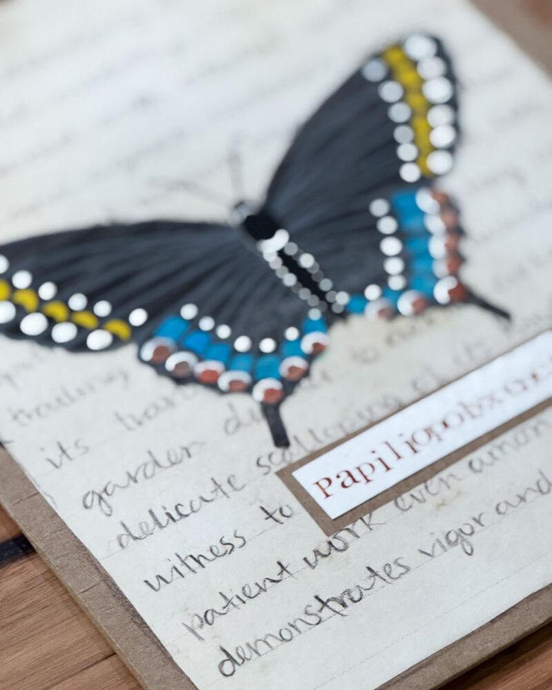 swallowtail butterfly artwork mixed media