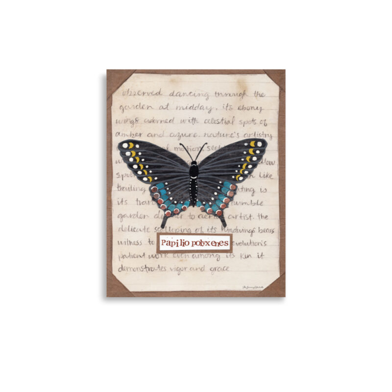 swallowtail butterfly art print