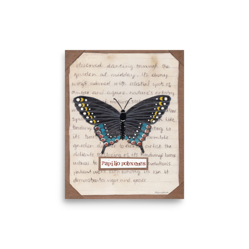 swallowtail butterfly art print