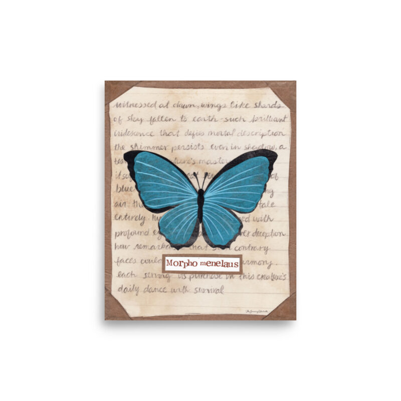 Blue Morpho butterfly study with coffee-stained background and notes